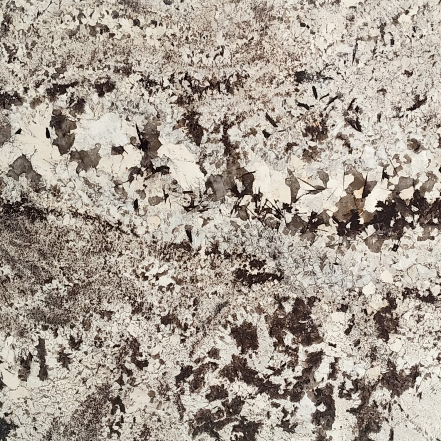 White Vienna Granit – Hochwertiger Naturstein mit eleganter Maserung, ideal für moderne Innen- und Außenbereiche.