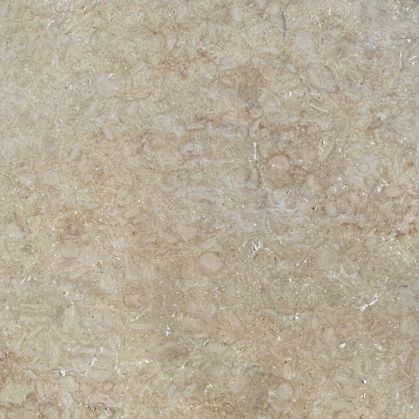 Kalkstein Terrassenplatte Catrina im römischen Verband, gelb-beige – Natursteinfliese mit geschliffener, angerauter und getrommelter Oberfläche für Außenbereiche