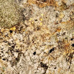 Alpinus Quartz – Heller Quarzstein mit dezenter Maserung und glatter Oberfläche, ideal für stilvolle Innenräume und moderne Raumgestaltung.







