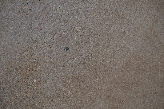 Palau Sandsteinfliese im Close Up. Zu sehen ist die markante Körnung. Jetzt anfragen bei Naturstein Tilmes.